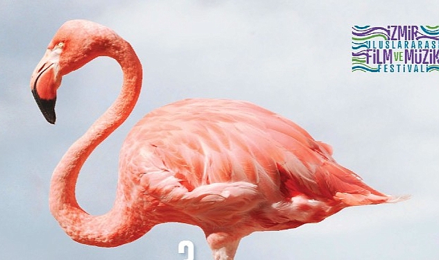 Kristal Flamingolar üçüncü kez sahiplerini bulacak- Haber Şafak