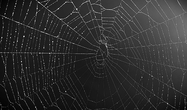 Kurumsal cihazları hedef alan zararlı yazılımların %53'ü veri çalıyor!- Haber Şafak