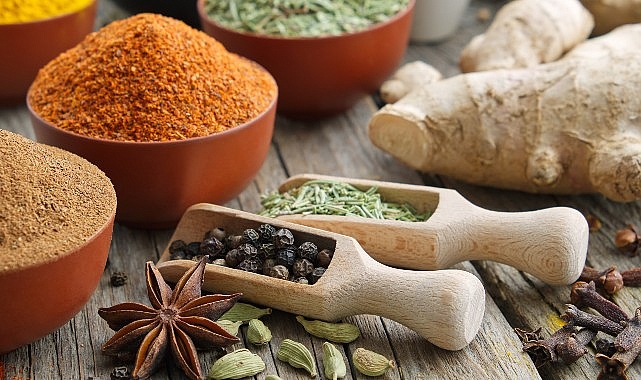 Almanya-Türkiye arasında dış ticaret hacmi 50 milyar dolara ulaştı- Haber Şafak