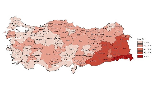 Tüik:  Yükseköğretim mezunlarının oranı 25 yaş ve üzeri nüfusta %24,6 oldu- Haber Şafak
