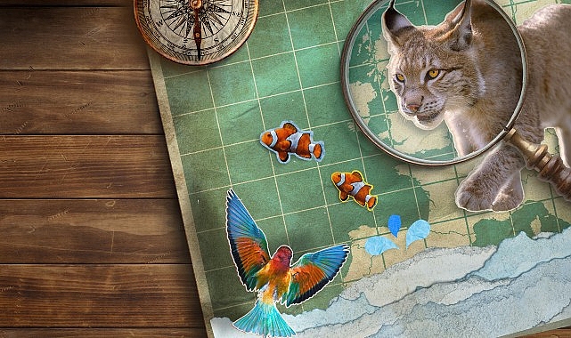 'Vahşi Avrupa' Temasıyla National Geographic NOW Seç-İzle Servisi Haziran Ayında Yine Dopdolu- Haber Şafak