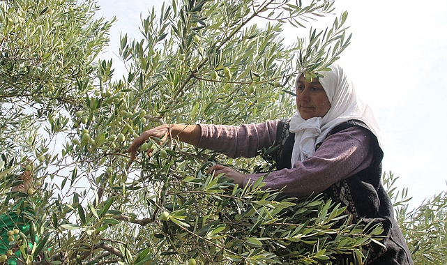 Yapay zekâ ve dijitalleşme ile Türk tarımında verimlilik, gıda güvenliği ve ihracat artacak, gıda kayıpları önlenecek- Haber Şafak