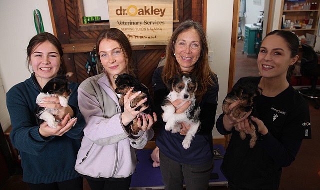 &apos;Yukon Veterineri: Kadınların Öyküleri Özel' 8 Mayıs Çarşamba Günü 20.00'de National Geographic WILD Ekranlarında!- Haber Şafak