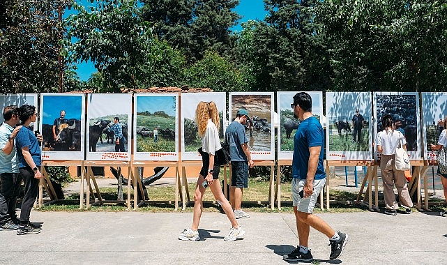 CLIMAVORE x Jameel at Royal College of Art, İstanbul'un Sulak Alanlarının Geleceği için Manda Festivali'ni Düzenledi- Haber Şafak