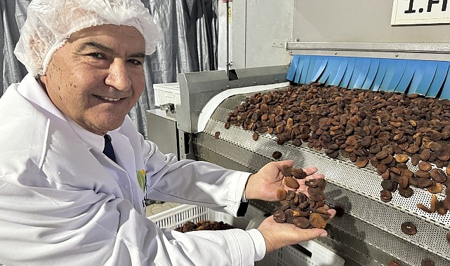 Muhteşem üçlü kuru üzüm, kuru kayısı ve kuru incirin ihracatı 1 milyar doları aştı- Haber Şafak