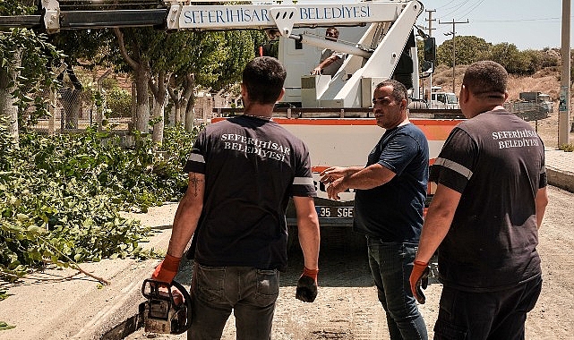 Akarca’da asfalt çalışması başladı- Haber Şafak