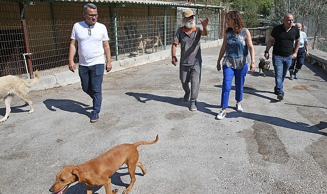 Başkan Ünsal: “Yaşam hakkı kutsaldır”- Haber Şafak