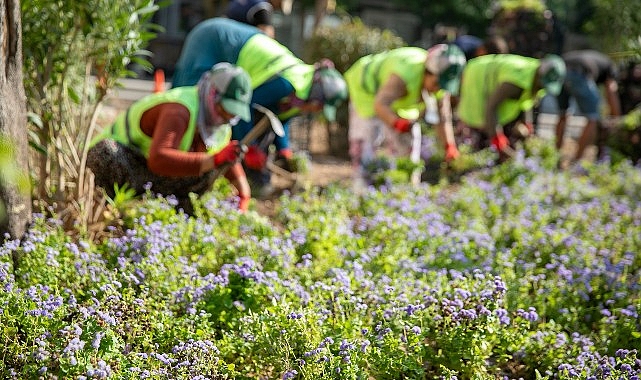 Buca’nın caddeleri çiçek açtı- Haber Şafak