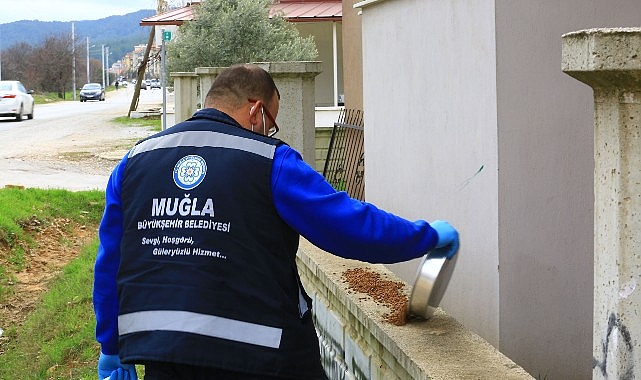 Büyükşehir Can dostlar İçin Mama Üretiyor, Tasarruf Sağlıyor- Haber Şafak