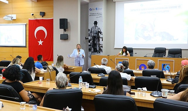 Büyükşehir’den sahipsiz sokak hayvanları toplantısı- Haber Şafak