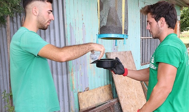 Büyükşehir’in karasinek kapanları çok işe yarıyor- Haber Şafak