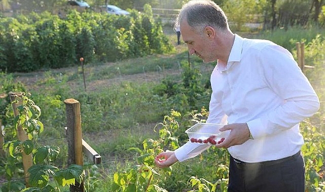 İnegöl Belediyesi Ücretsiz Toprak Analizi Uygulaması Devam Ediyor- Haber Şafak