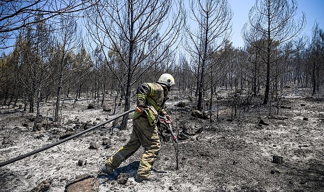 İzmir İtfaiyesi orman yangınlarına karşı 7 gün 24 saat nöbette- Haber Şafak