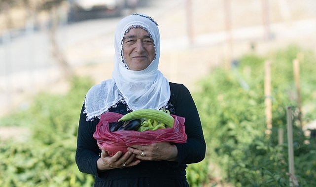 Mahalle bostanında hasat zamanı- Haber Şafak