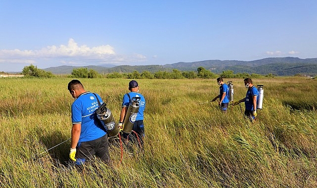 Muğla’da Vektörle Mücadelede Ara Yok- Haber Şafak