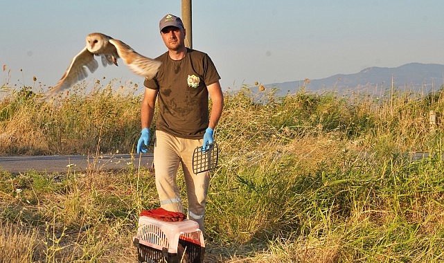 Peçeli baykuşlar özgürlüğe kanat çırptı- Haber Şafak