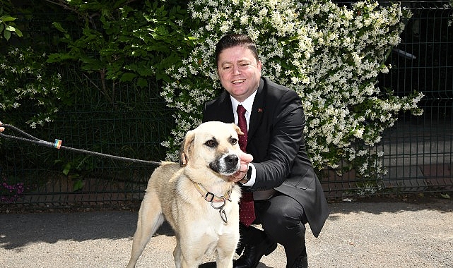 Sokak hayvanları yasa tasarısının geri çekilmesi için sosyal medya hesapları üzerinden çağrı yapan Kadıköy Belediye Başkanı Mesut Kösedağı, “Her canlının eşit yaşama hakkı vardır” dedi.- Haber Şafak