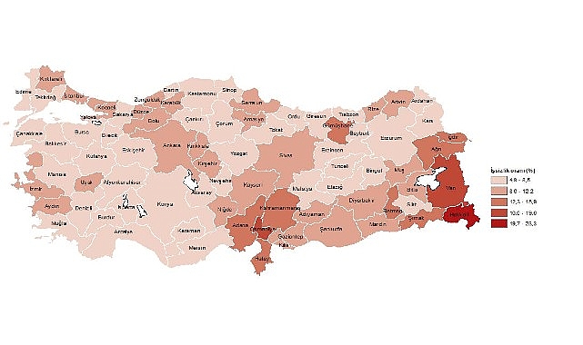 Tüik: İl Düzeyinde İşgücü İstatistikleri, 2023- Haber Şafak