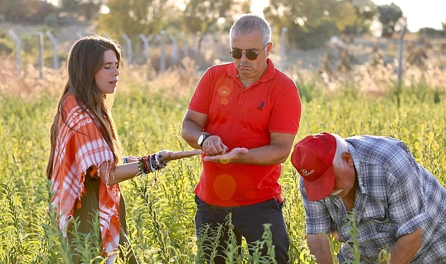 Başkan Denizli: “Bu hasat, alın teri ile yurttaşlarımıza doğru besinleri ulaştırmanın en büyük göstergesi”- Haber Şafak