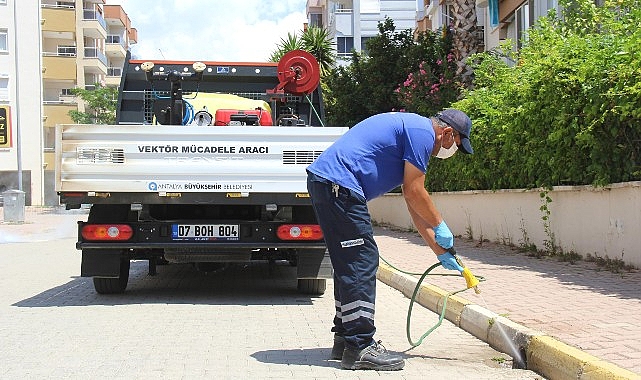 Büyükşehir vektörle mücadele çalışmasını aralıksız sürdürüyor- Haber Şafak