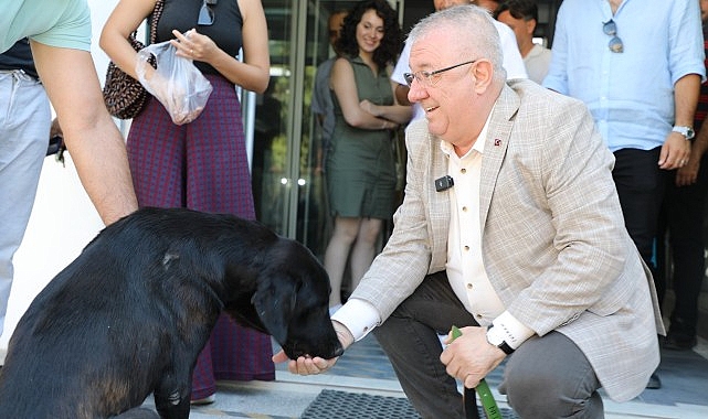 Edremit Belediye Başkanı Mehmet Ertaş sokak köpeğini sahiplendi- Haber Şafak