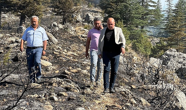 Ekinözü ‘nde Çıkan Orman Yangını Kontrol Altına Alındı – Haber Şafak