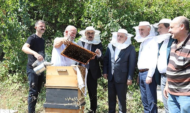 İnegöl Bal Üretiminde Vites Yükseltti- Haber Şafak