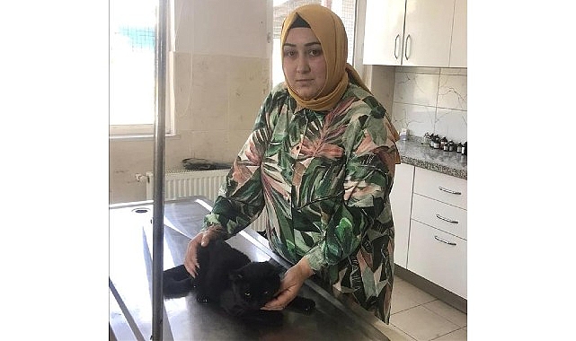 İnegöl Belediyesi Veteriner İşleri Müdürlüğü 266 Can Dostu Yeni Yuvasına Kavuştu- Haber Şafak