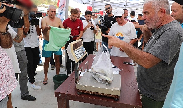 İstilacı balon balığını yakalamak için yarıştılar- Haber Şafak