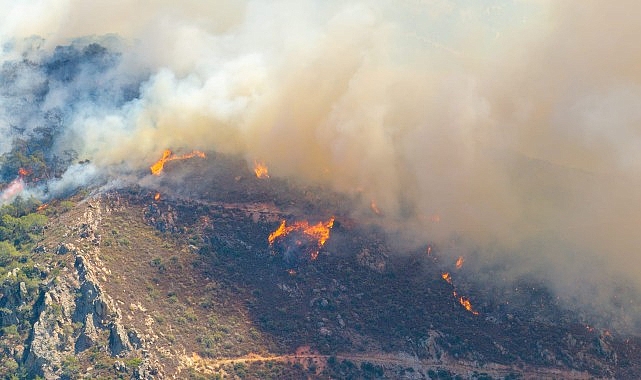 İzmir Büyükşehir Belediye Başkanı Dr. Cemil Tugay Arkadaşlarımız risk gördüğümüz her noktada teyakkuzda- Haber Şafak