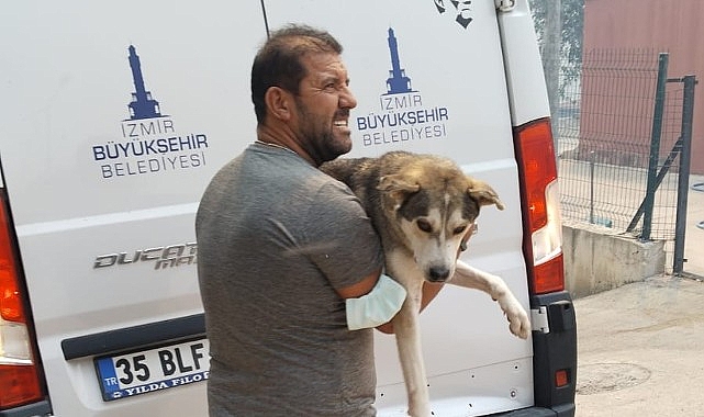 İzmir Büyükşehir Belediyesi’nin tüm birimleri yangında seferber oldu- Haber Şafak