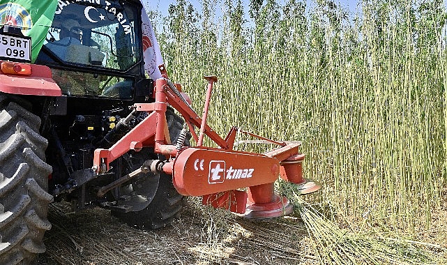 İzmir’de İlk Defa İzinli ve Kontrollü Olarak Lif ve Tohum Üretimi Amacıyla Yetiştirilen Kenevirin Hasadı Gerçekleştirildi- Haber Şafak