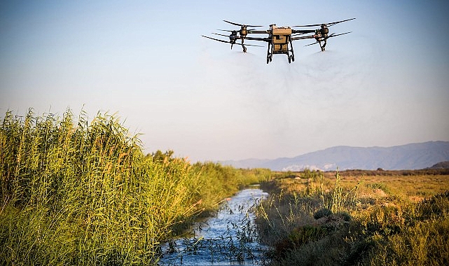 İzmir’de sivrisinekle havadan ve karadan mücadele sürüyor- Haber Şafak