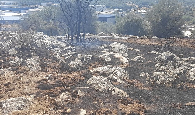İzmir’de yangın fabrikalara ulaşmadan kontrol altına alındı- Haber Şafak