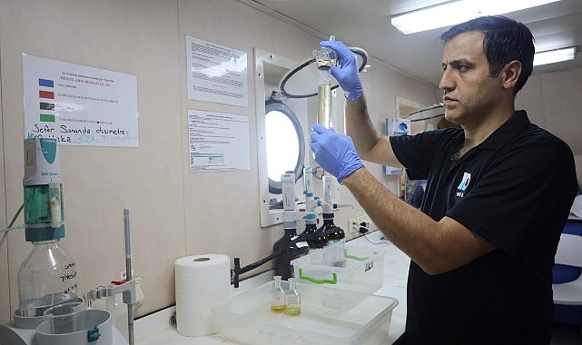 İzmit Körfezi’nde deniz ekosistemi hayat buluyor- Haber Şafak