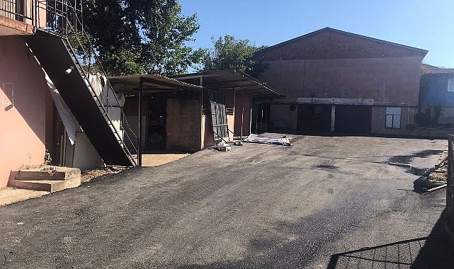 Kandıra Belediyesinden Fındık Üreticilerine Müjde- Haber Şafak