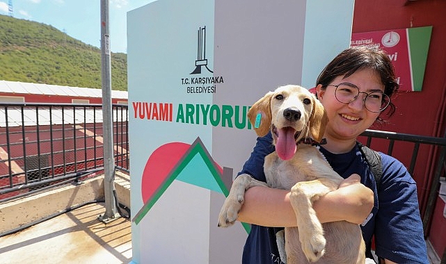 Karşıyaka can dostlara sahip çıkıyor- Haber Şafak