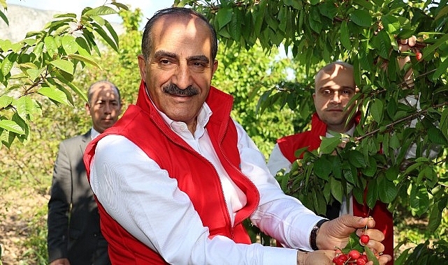 Kiraz ihracatı 209 milyon dolara ulaştı- Haber Şafak