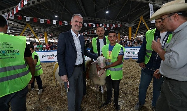 Küçükbaş Hayvancılık Festivali İçin Geri Sayım Başladı- Haber Şafak