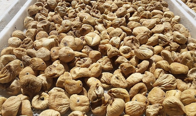 Kuru incir uzak pazarlara yelken açtı- Haber Şafak