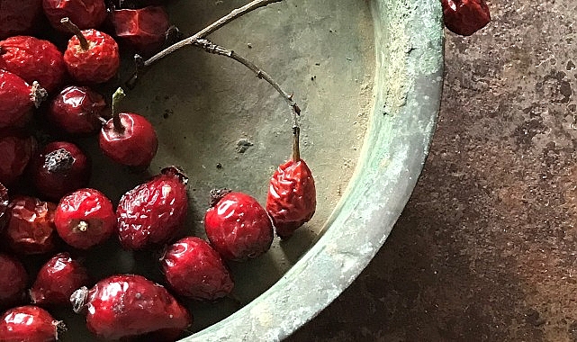 Lalehan Uysal’ın “Kurda, Kuşa, Aşa… Ve Göze…” sergisi Yapı Kredi bomontiada’da- Haber Şafak