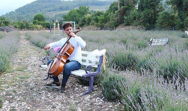 Lavanta bahçesinde çello resitali- Haber Şafak