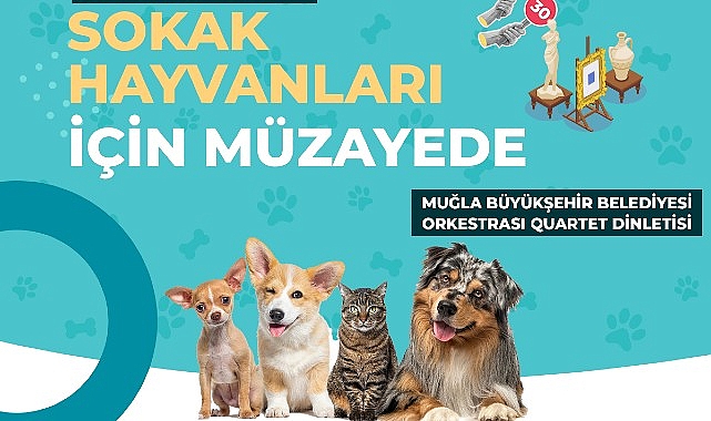 Muğla Büyükşehir Belediyesi tüm geliri sokak hayvanları yararına kullanılacak müzayede düzenliyor. – Haber Şafak