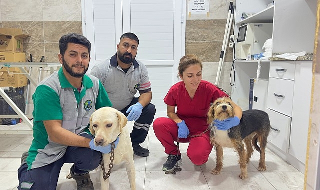 O can dostlara Menemen’de şefkat eli- Haber Şafak