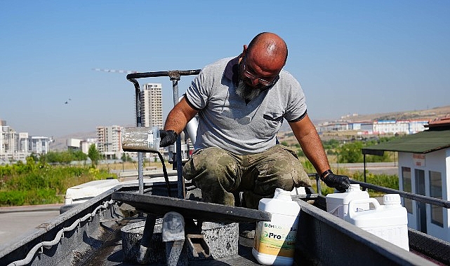 Parklar Doğa Dostu Gübreyle Yeşilleniyor- Haber Şafak