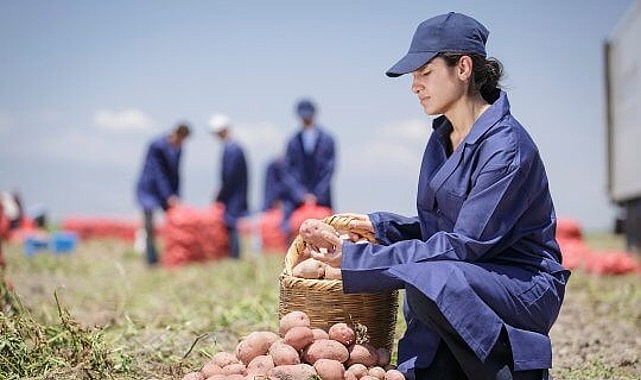 PepsiCo Türkiye’den 16 Ağustos Dünya Patates Gününde Yenileyici Tarımda Büyük Başarı: Patates Üretiminin %89’u Yenileyici Tarım Uygulamalarıyla Gerçekleşiyor- Haber Şafak