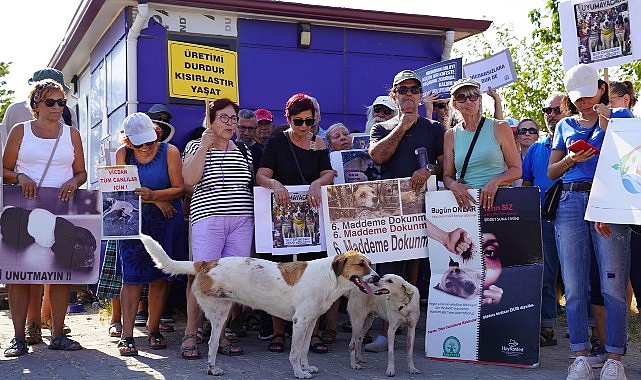 Seferihisar Katliam Yasası’na hayır dedi – Haber Şafak