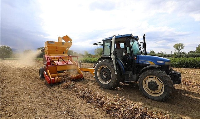 Cerrah Kuru Fasulyesinin Hasadı Başladı- Haber Şafak