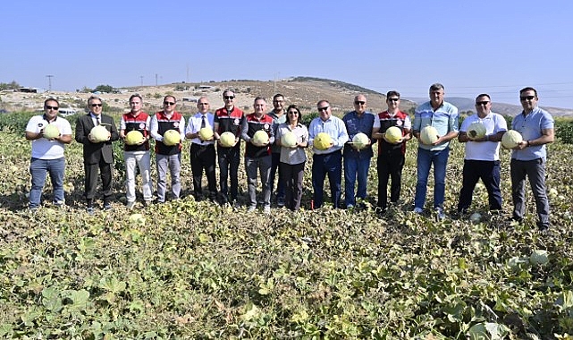 Foça’da 5. Geleneksel Kavun Hasat Şenliği Coşkuyla Kutlandı- Haber Şafak