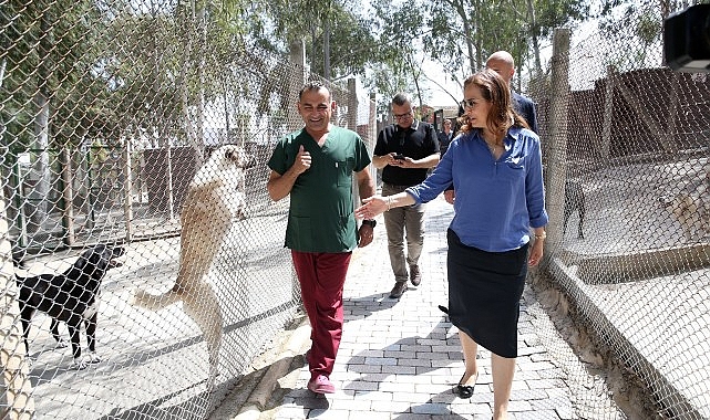 Karşıyaka Belediyesi yeni hayvan barınağı için düğmeye bastı- Haber Şafak